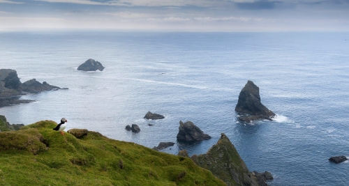 19-nature-photography-hermaness-shetlands-scotland